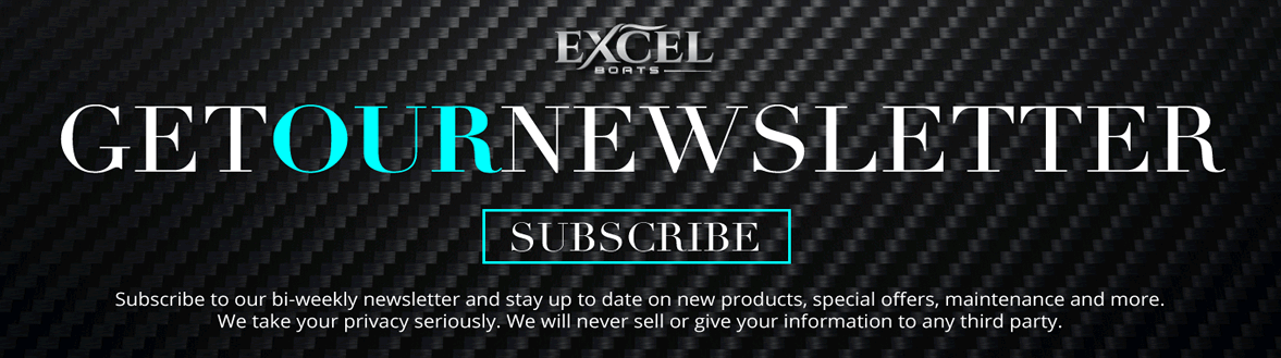 Excel Newsletter